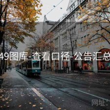 49图库-查看口径-公告汇总