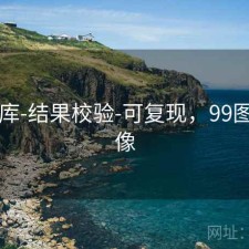 99图库-结果校验-可复现，99图片头像