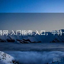 中特网-入门指南-入口，中特一肖