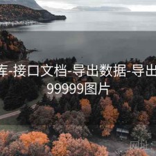 99图库-接口文档-导出数据-导出友好，99999图片