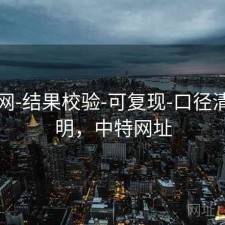 中特网-结果校验-可复现-口径清晰透明，中特网址