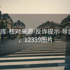 123图库-核对来源-反诈提示-导出友好，12339图片