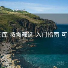 49图库-按需筛选-入门指南-可追溯