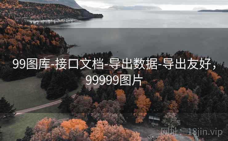 99图库-接口文档-导出数据-导出友好，99999图片  第1张